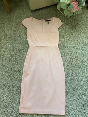 Victoria Secret Elegant Blush Sheath Dress - Cap Sleeve Size 0
